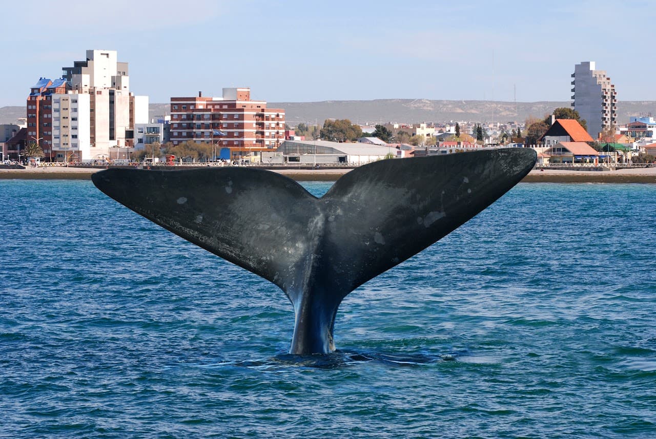 Puerto Madryn